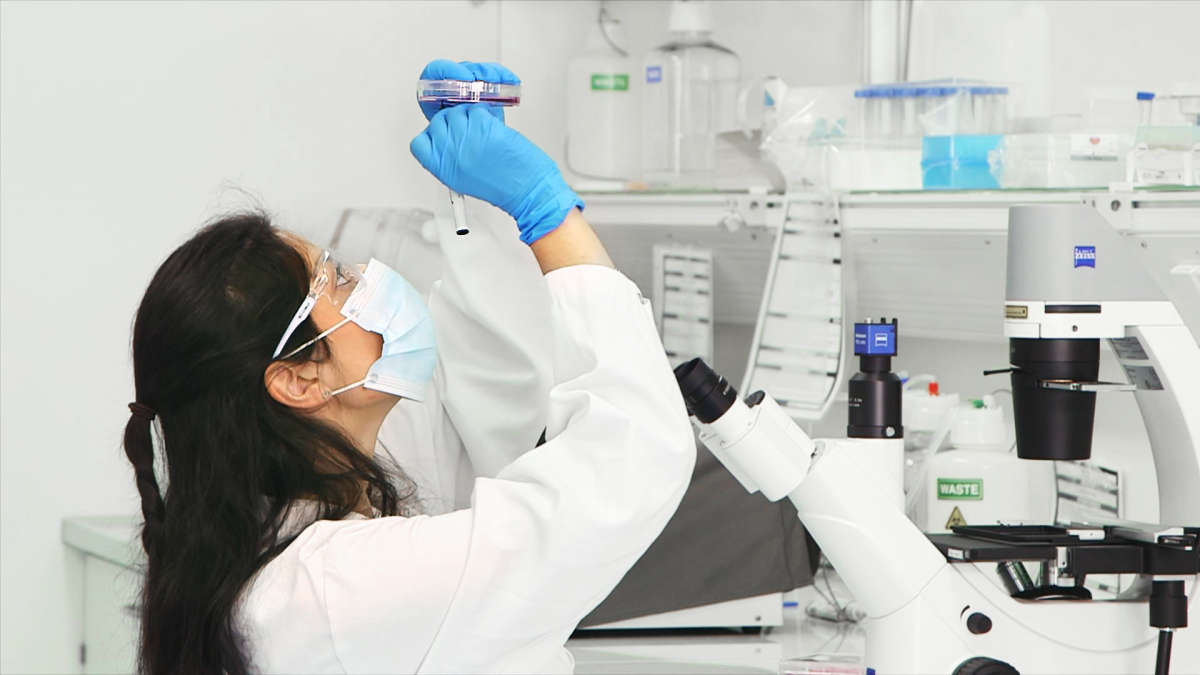 Webinar - CRISPR